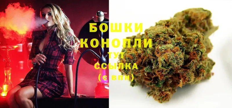 купить наркоту  мега ссылка  Бошки Шишки White Widow  Тара 